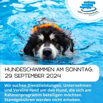 Hundeschwimmen im Freibad Rhede © Stadt Rhede